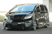 Picture of 08-15 Alphard 20 series AH20 AFA Style headlight eyebrows