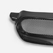 Picture of BL BP 04-06 Legacy Front Grill