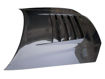 Picture of Skyline R34 GTR NSM Style Hood