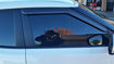 Picture of Veloster Window Visor