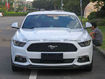 Picture of 2015 Mustang MX Style Front Lip