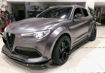 Picture of Stelvio S Style Front Lip (3Pcs) (Can fit without the wide fender)