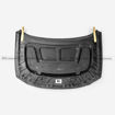 Picture of 21+ Hyundai Elantra/Avante N (CN7) EPA-V Type hood